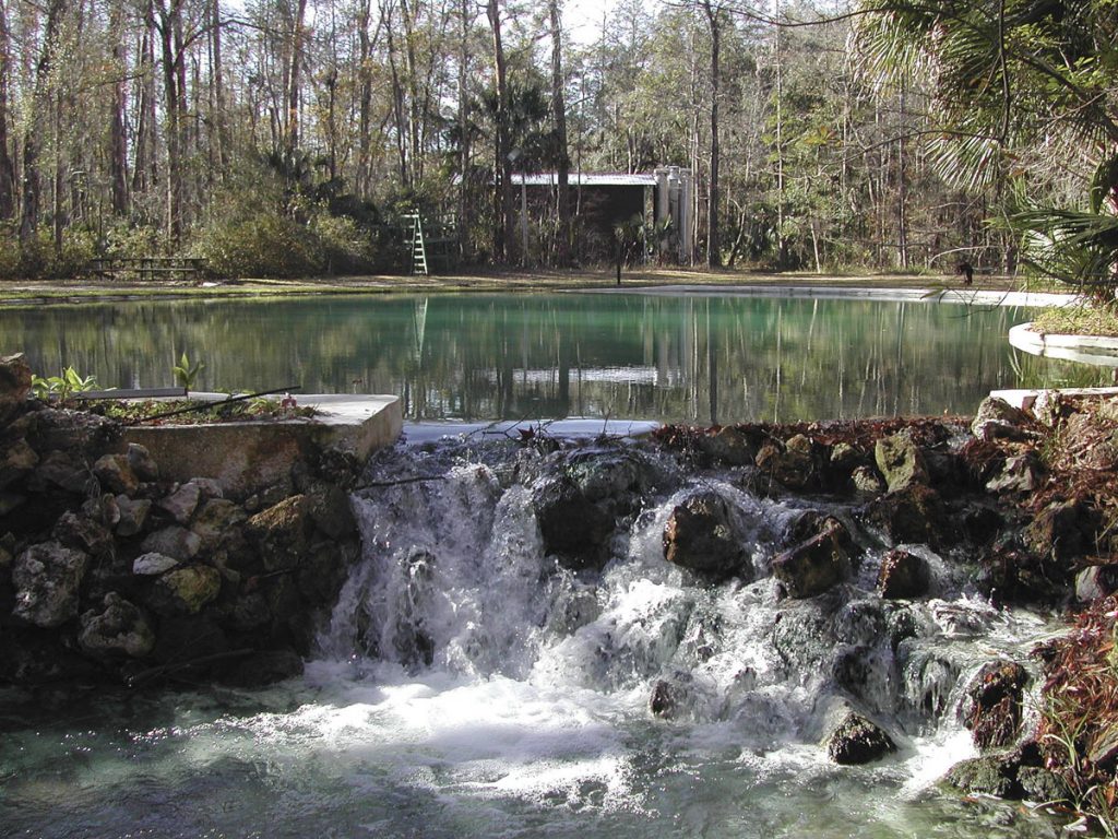 Orange Springs pool