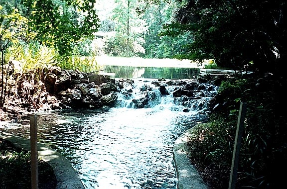 Lush vegetation around Orange Springs
